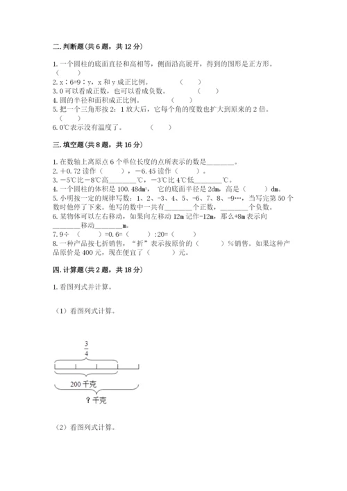 北师大版六年级下册数学期末测试卷精品【典优】.docx