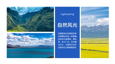 简约风并列关系1项PPT图文页