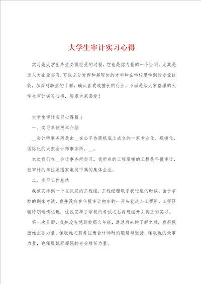 大学生审计实习心得