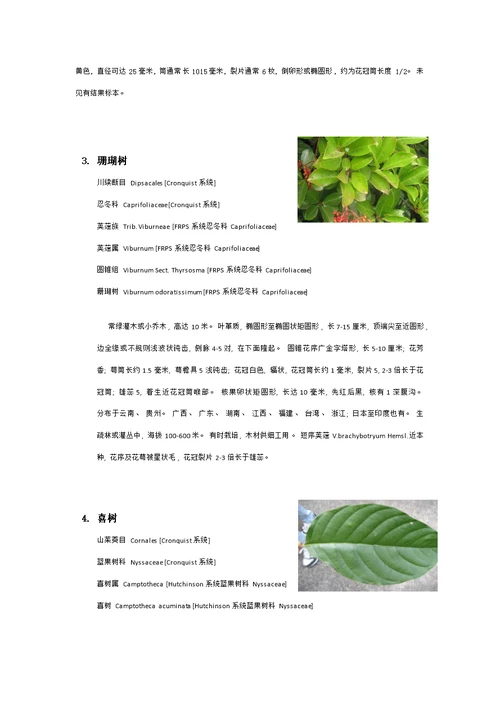 衡山植物园实习植物汇总模板