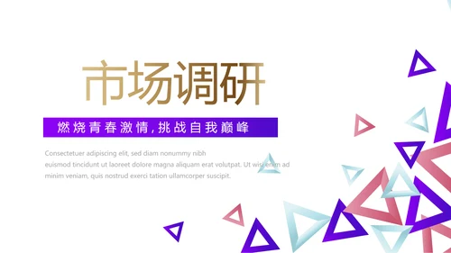 创意几何三角形大气公司产品介绍宣传通用PPT