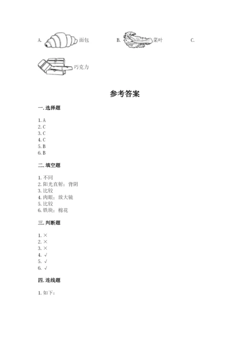 教科版一年级下册科学期末测试卷附参考答案（综合卷）.docx