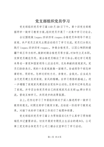 党支部组织党员学习.docx