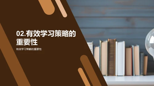 高效学习策略探析