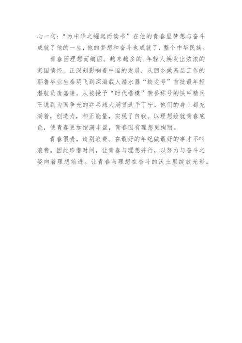 青春理想议论文.docx