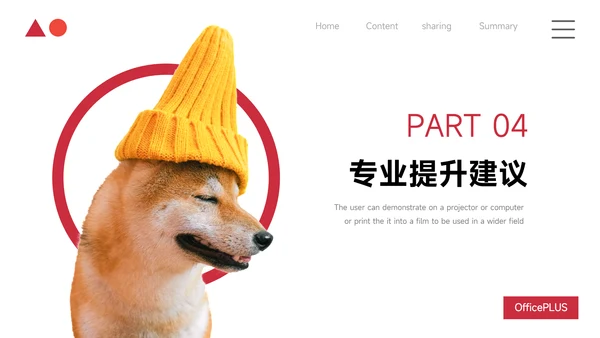 红色极简高级宠物业实习报告PPT模板