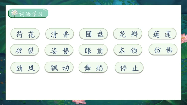【核心素养】部编版语文三年级下册-3. 荷花 第1课时（课件）