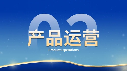 蓝金大气商务实景项目计划书