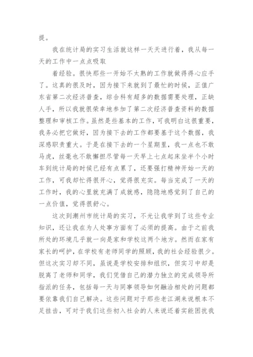 统计局实习报告范文.docx