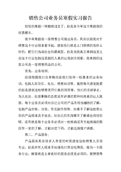 销售公司业务员寒假实习报告