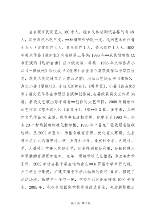 乡镇文化事业发展调研报告.docx