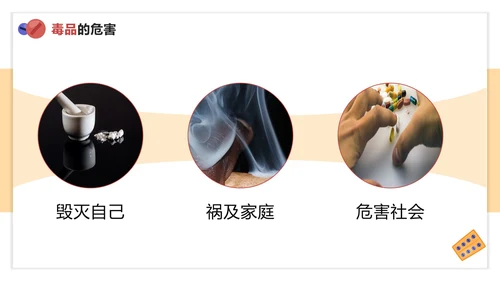 卡通手绘学校禁毒宣传主题教育PPT模板