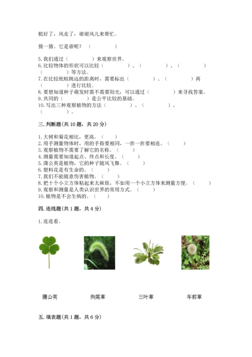 教科版一年级上册科学期末测试卷附参考答案【研优卷】.docx