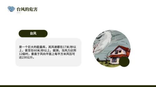 台风来袭，防台风安全教育培训通用PPT模版