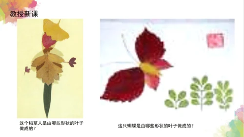 第十一课《拓印树叶真有趣》课件