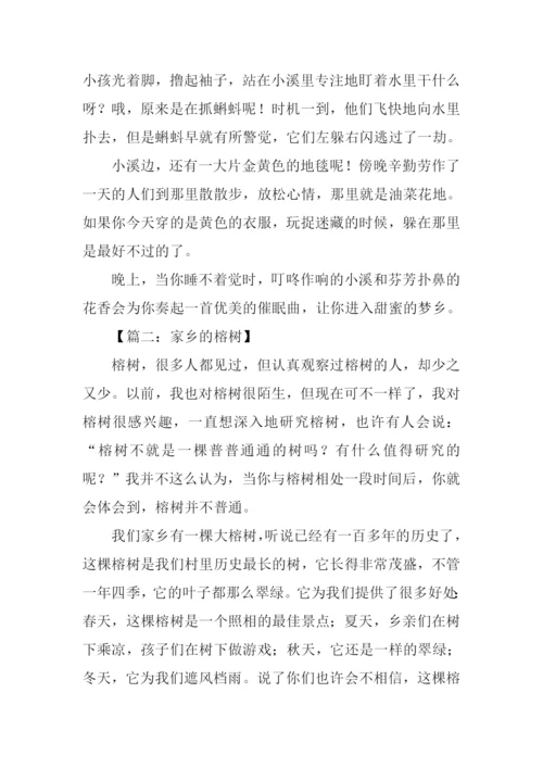 关于家乡的作文800字.docx