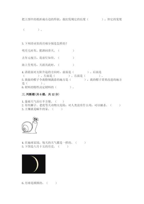 教科版科学二年级上册《期末测试卷》加解析答案.docx