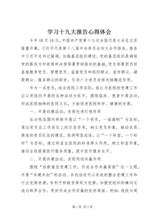 学习十九大报告心得体会_1 (9).docx