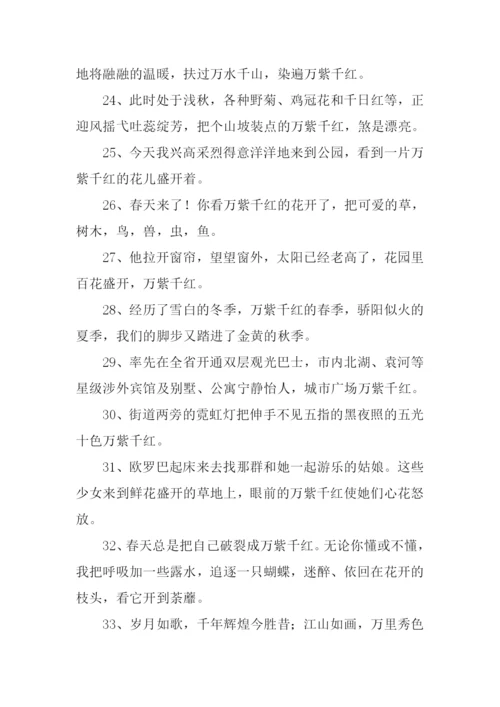 万紫千红的意思.docx