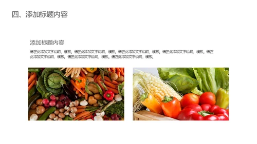 时令蔬菜生鲜零售通用PPT模板