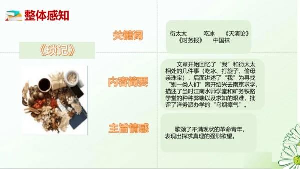 七年级语文上册第三单元整本书阅读《朝花夕拾》课件
