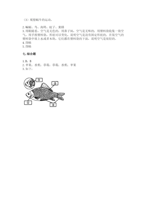 教科版一年级下册科学期末测试卷精品【有一套】.docx