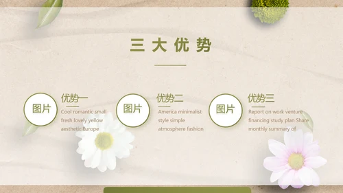 简约SPA美容养生会所工作总结PPT