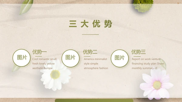简约SPA美容养生会所工作总结PPT