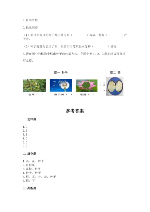 教科版四年级下册科学第一单元《植物的生长变化》测试卷附答案.docx