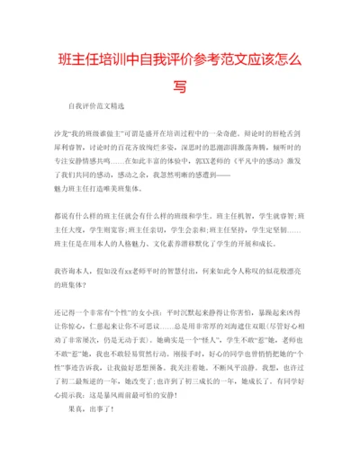 精编班主任培训中自我评价参考范文应该怎么写.docx