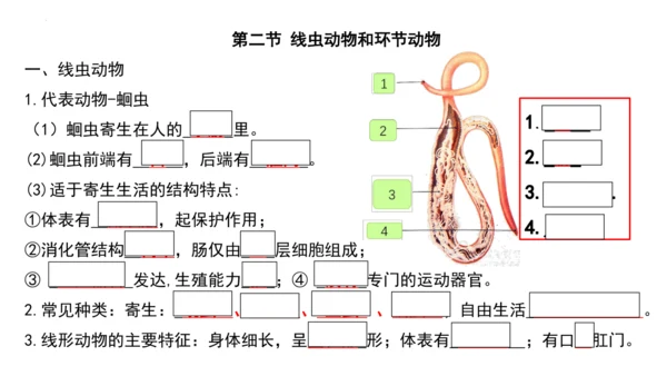 人教版生物八年级上册期末考试知识点汇总（课件）(共28张PPT)