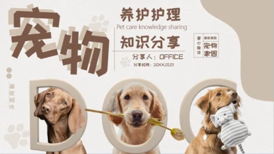 宠物养护护理通用PPT模板