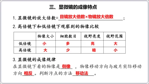 1.1&1.2 认识生物和细胞（复习课件）【2024人教新版七上生物高效完全备课】(共44张PPT)