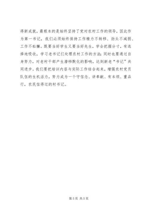 学习第一书记心得体会 (3).docx