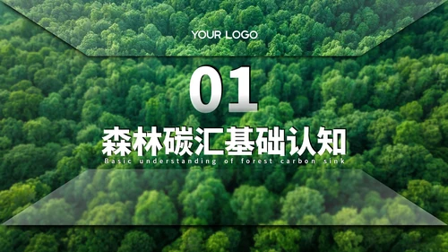 绿色清新森林生态环境保护调研汇报PPT模板