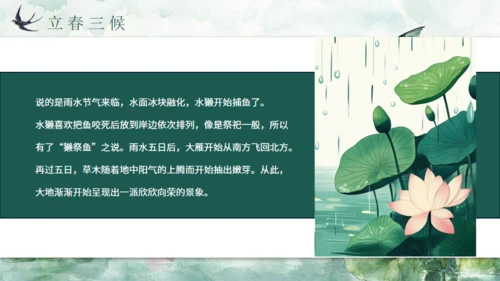 雨水春雨贵如油，春景通用PPT模板