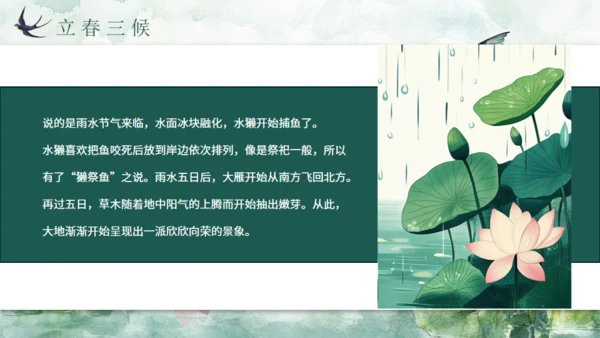 雨水春雨贵如油，春景通用PPT模板