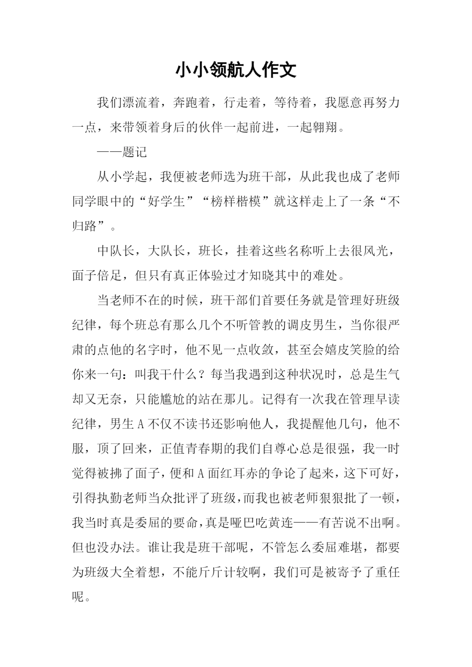 小小领航人作文.docx