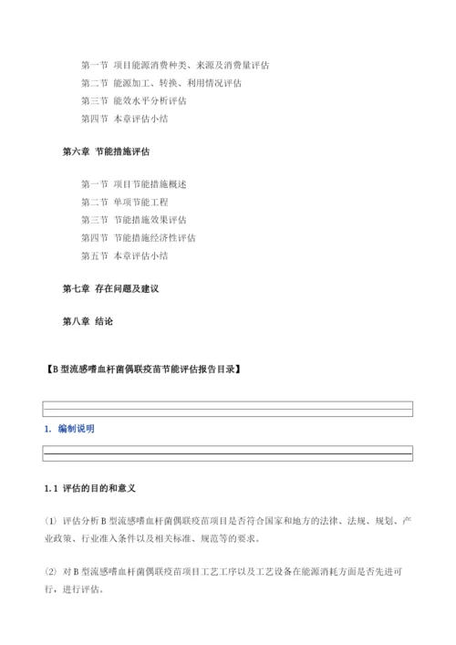 B型流感嗜血杆菌偶联疫苗项目节能评估报告模板.docx