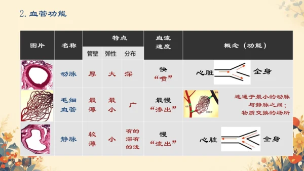初中生物学[期末专区]七年级下册第四章和第五章复习课件(共39张PPT)