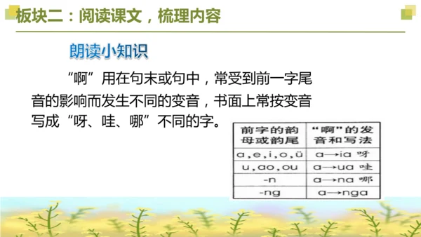 部编版2022-2023学年四年级语文下册大单元教学  第三单元    课件