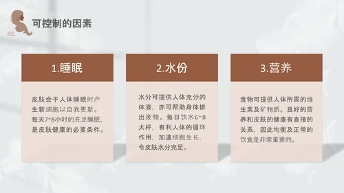 高级灰和棕色简约实拍风美容护肤美容知识培训PPT