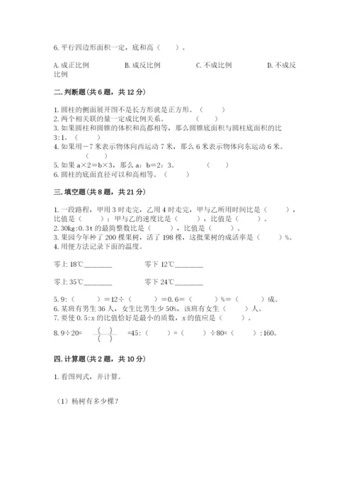 北京市崇文区六年级下册数学期末测试卷完整版.docx