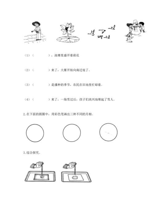 教科版二年级上册科学期末测试卷（典型题）.docx