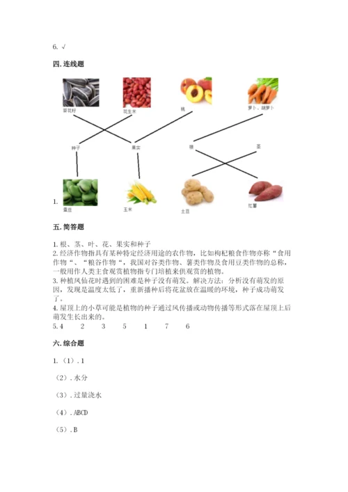 教科版科学四年级下册第一单元《植物的生长变化》测试卷及完整答案.docx