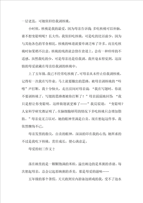 母爱的初三作文 2