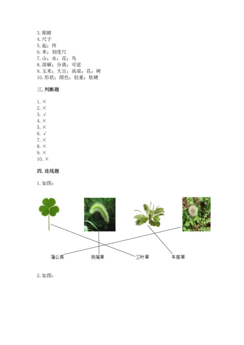 教科版一年级上册科学期末测试卷有答案解析.docx