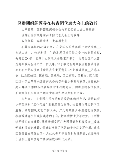 区群团组织领导在共青团代表大会上的致辞.docx