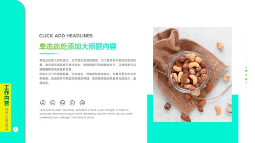 干果品牌策划案通用PPT模板