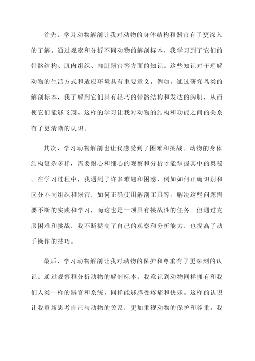 学习动物解剖的感想